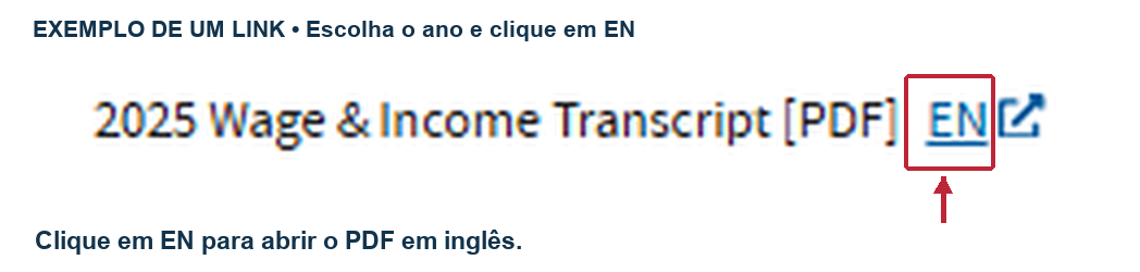 Exemplo ampliado de um Wage and Income Transcript, com ano visível e EN destacado.